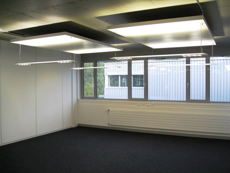 Bureaux et places de garage à Illnau (11)