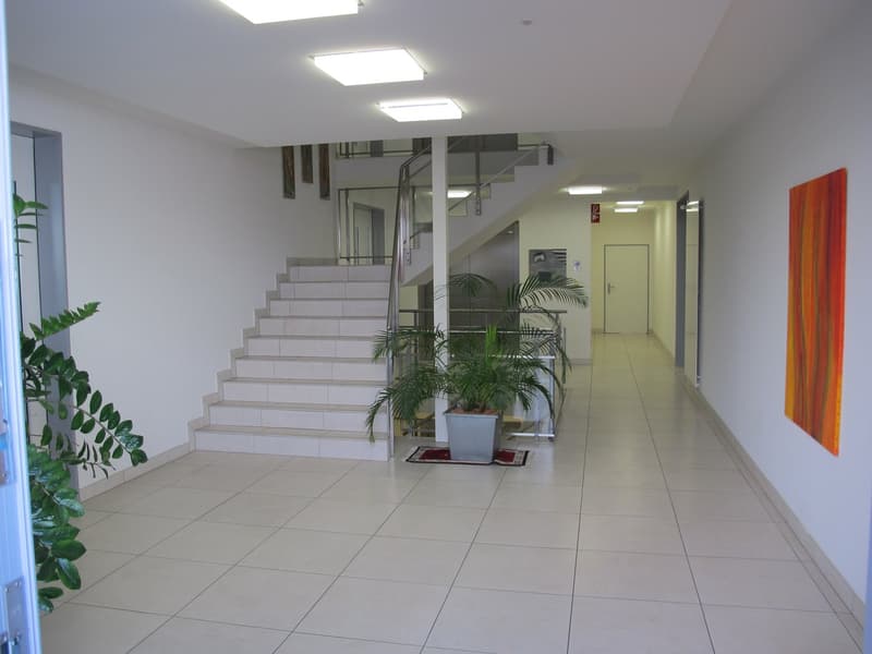 Eingang / Treppenhaus