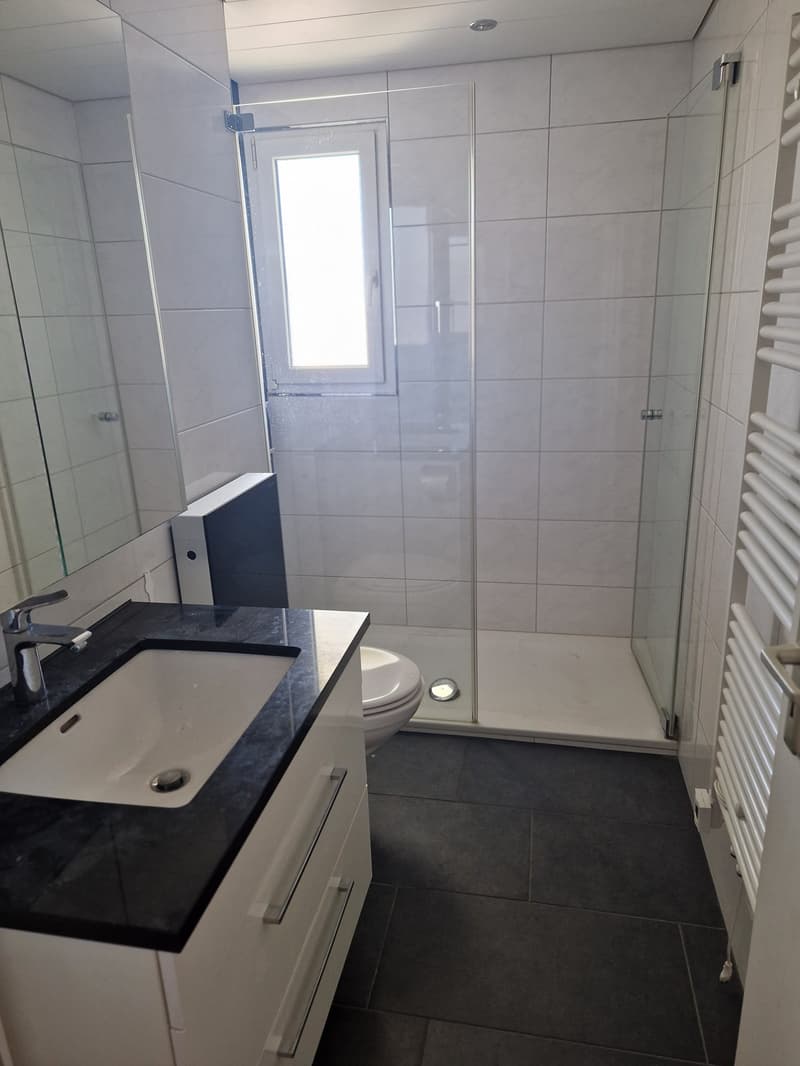 Helle 3.5-Zimmer-Wohnung mit Balkon und Tiefgaragenplatz mit CHF 125.00/Monat (12)