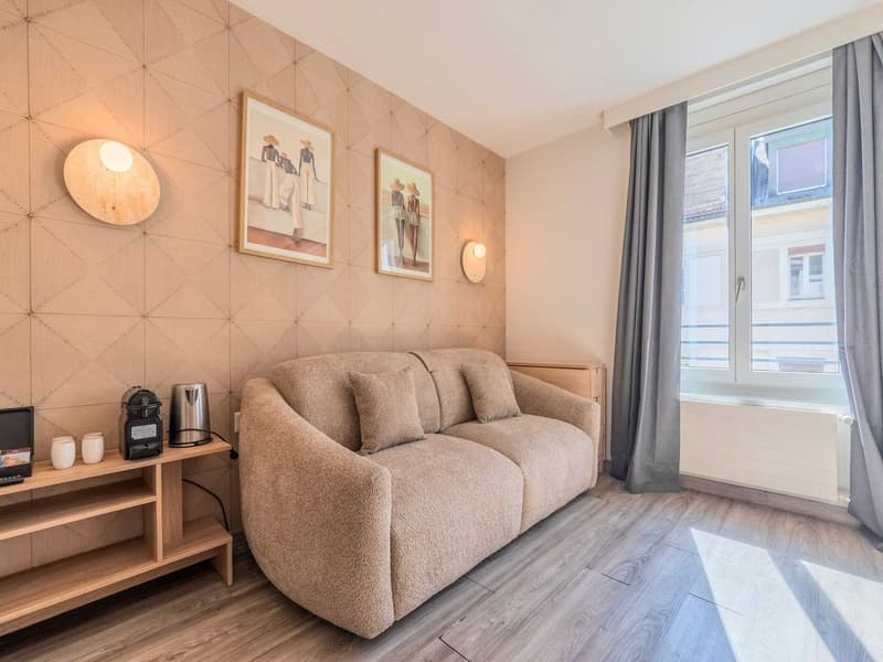 Charming Renovated Studio with Balcony in the Heart of Geneva – Rue Sismondi (4)