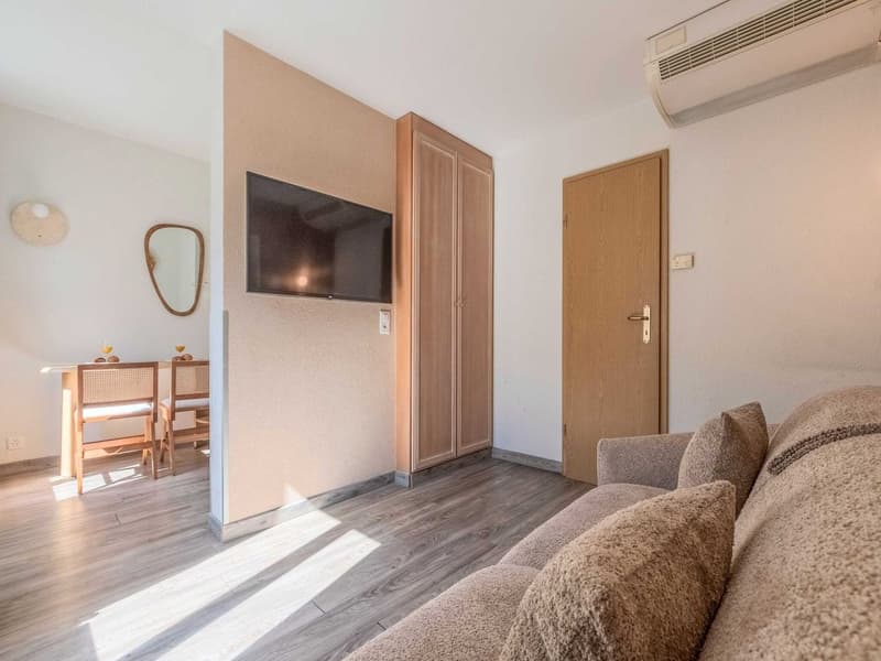 Charming Renovated Studio with Balcony in the Heart of Geneva – Rue Sismondi (3)