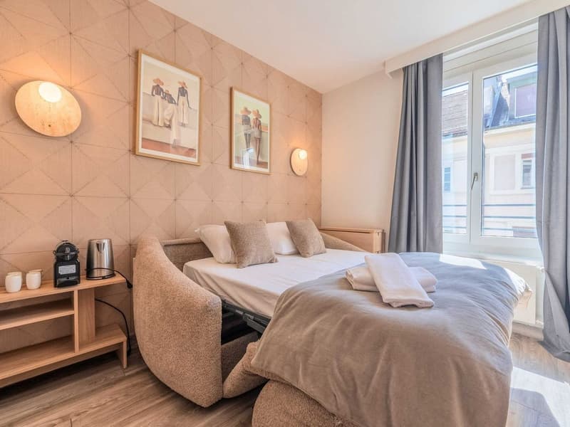 Charming Renovated Studio with Balcony in the Heart of Geneva – Rue Sismondi (6)