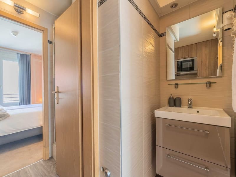 Charming Renovated Studio with Balcony in the Heart of Geneva – Rue Sismondi (30)
