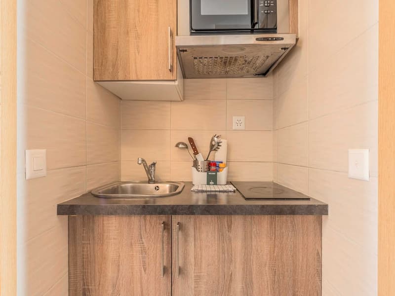 Charming Renovated Studio with Balcony in the Heart of Geneva – Rue Sismondi (24)