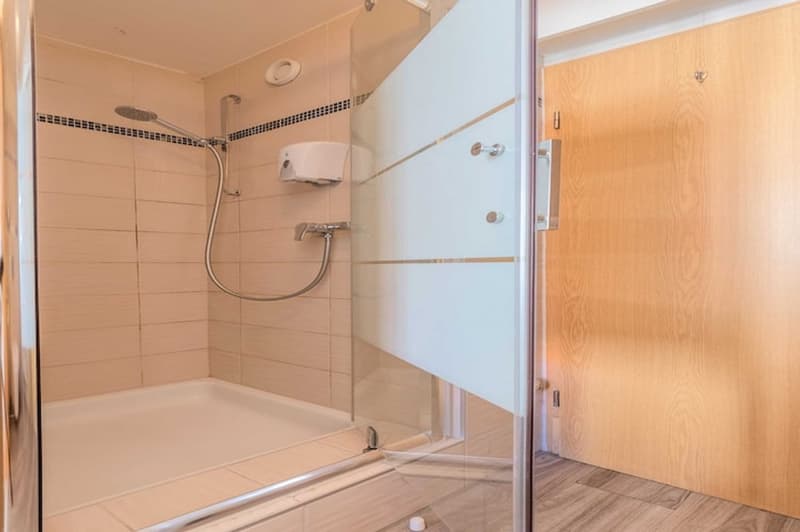 Charming Renovated Studio with Balcony in the Heart of Geneva – Rue Sismondi (28)