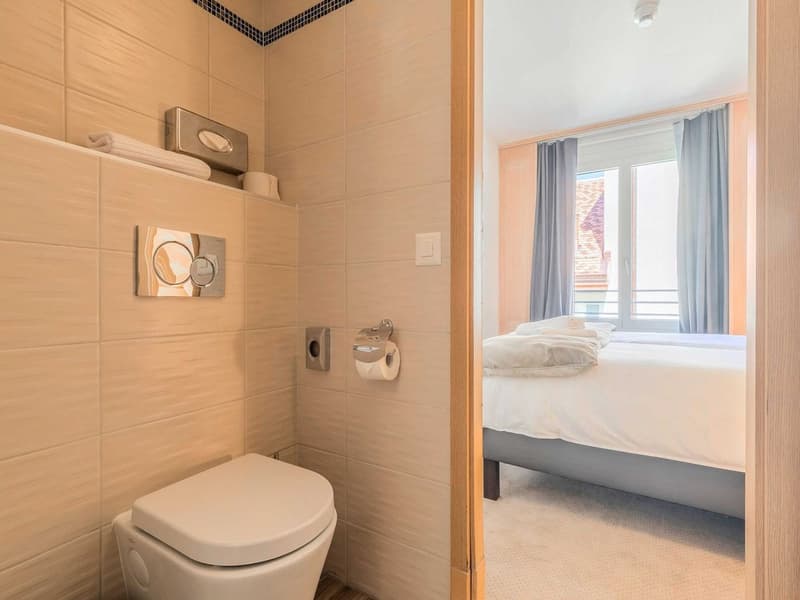 Charming Renovated Studio with Balcony in the Heart of Geneva – Rue Sismondi (29)