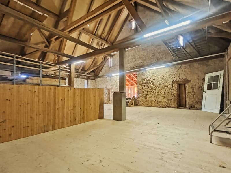 large room, wood ceiling, wooden floor, open area, stairs, white door