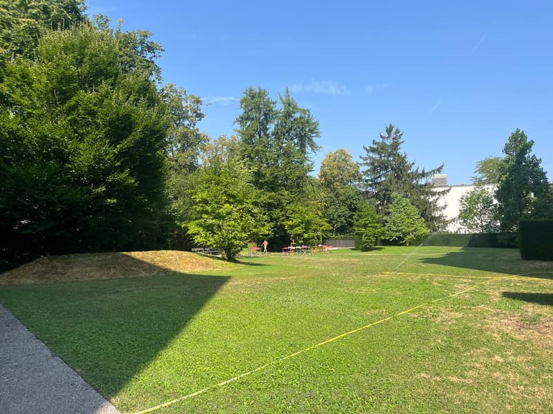 Appartement en propriété de 3,5 pièces dans le populaire Gellert avec vue lointaine (13)