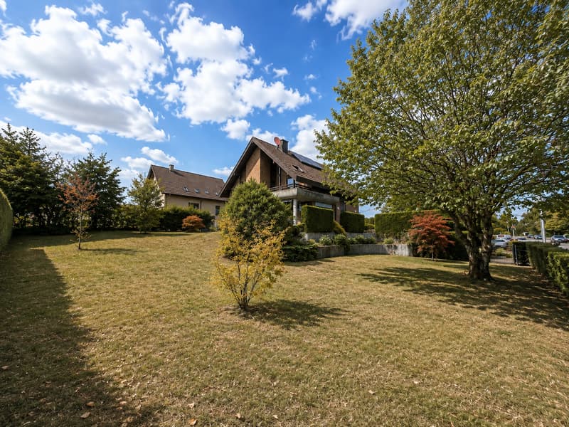 Freistehendes 6.5-Zimmer-Einfamilienhaus in Oberwil BL mit grossem Garten (1)