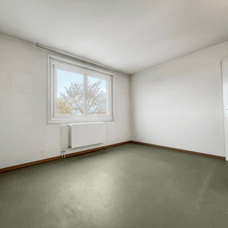 Ihr neues Eigenheim: 5.5-Zimmer-Reiheneckhaus in Oberwil im Baurecht (14)