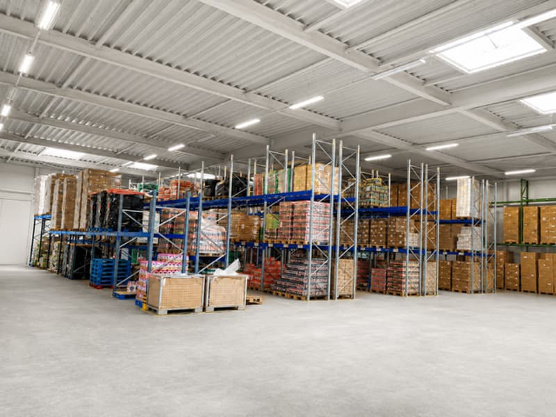 Logistics / Warehouse space 1000 m/2 (2)