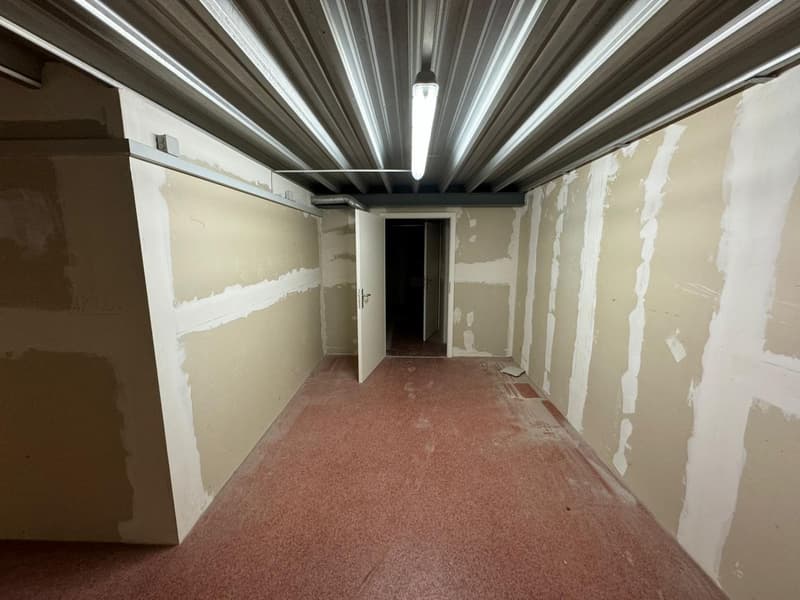 Petit espace de stockage à Lausen (11)