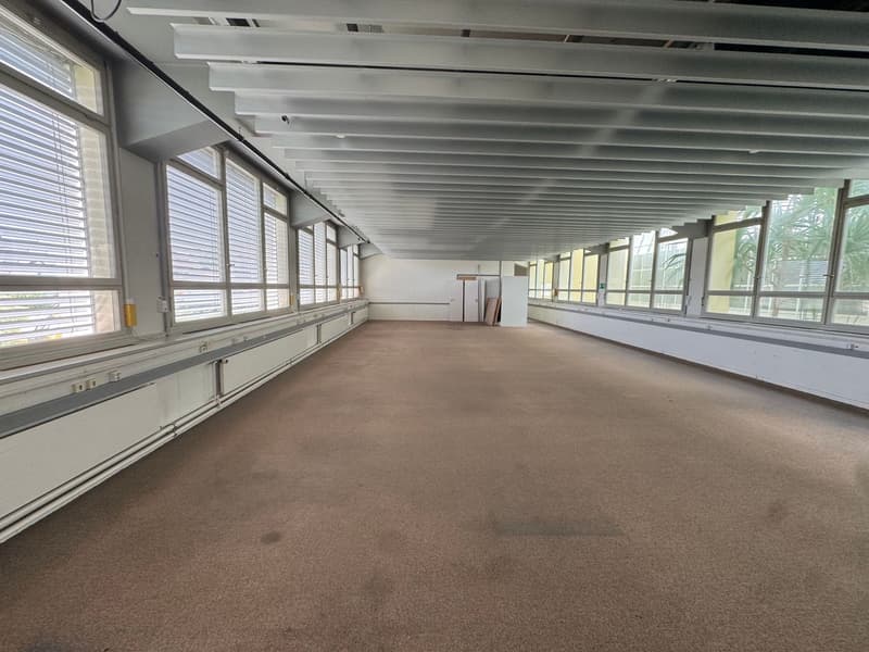 Spazio commerciale/ ufficio in affitto a Soletta (7)