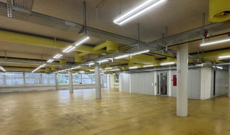 Spazio commerciale/magazzino in affitto a Solothurn (4)