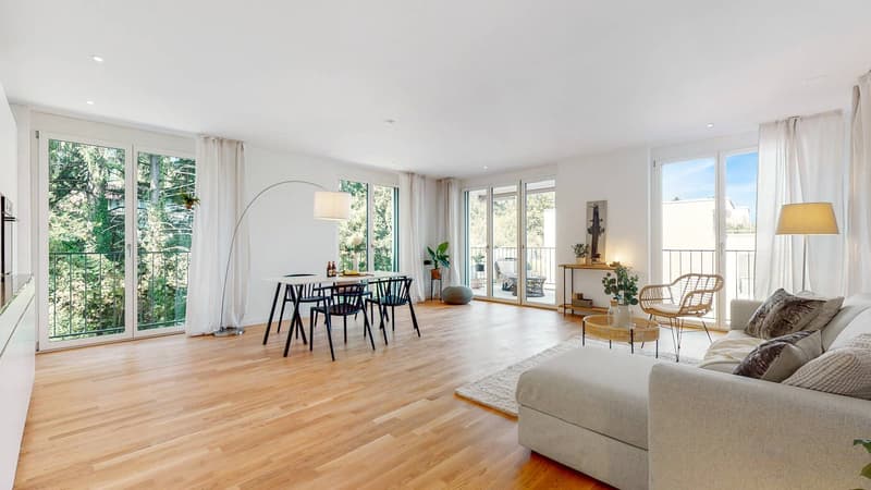 3.5-room apartment with large terrace for rent (4)