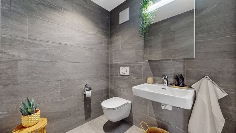 3.5-room apartment with large terrace for rent (10)