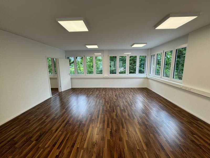 Büro-/ Gewerbefläche in Oftringen zu vermieten (10)