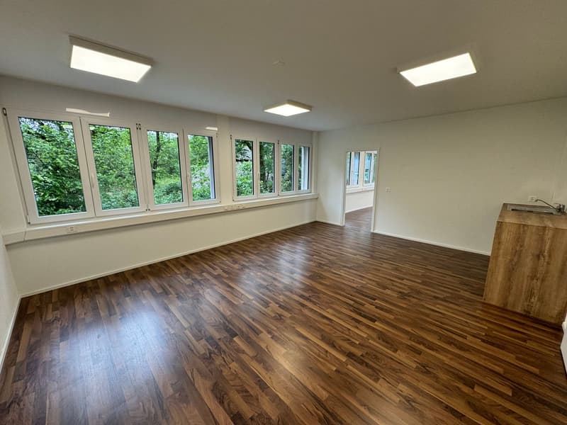 Büro-/ Gewerbefläche in Oftringen zu vermieten (2)