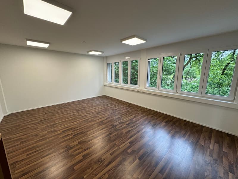 Büro-/ Gewerbefläche in Oftringen zu vermieten (5)