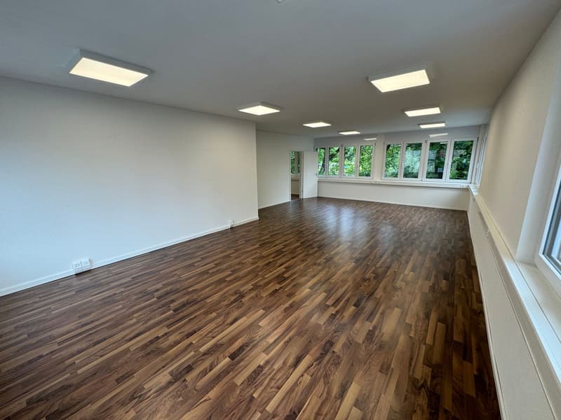 Büro-/ Gewerbefläche in Oftringen zu vermieten (8)