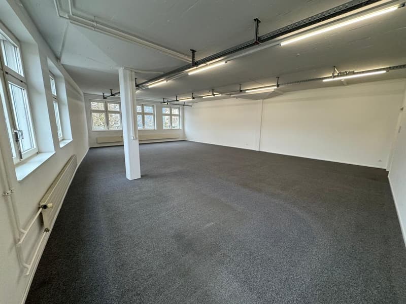 Commercial space for rent in Dierikon at a frequented location (6)