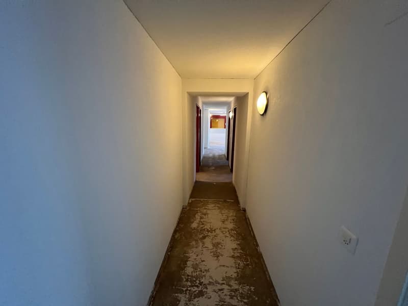 Spazio commerciale attraente in affitto a Lausen (16)