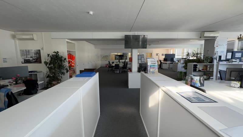 Ampio spazio per uffici e attività commerciali in affitto nella zona industriale di Schaffhausen (3)