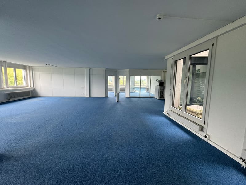Spacious office and commercial space for rent in Sempach-Station (5)