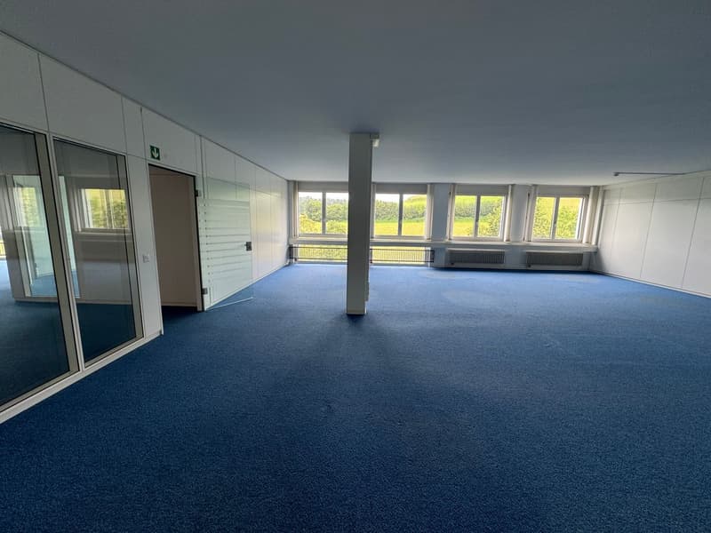 Spacious office and commercial space for rent in Sempach-Station (6)