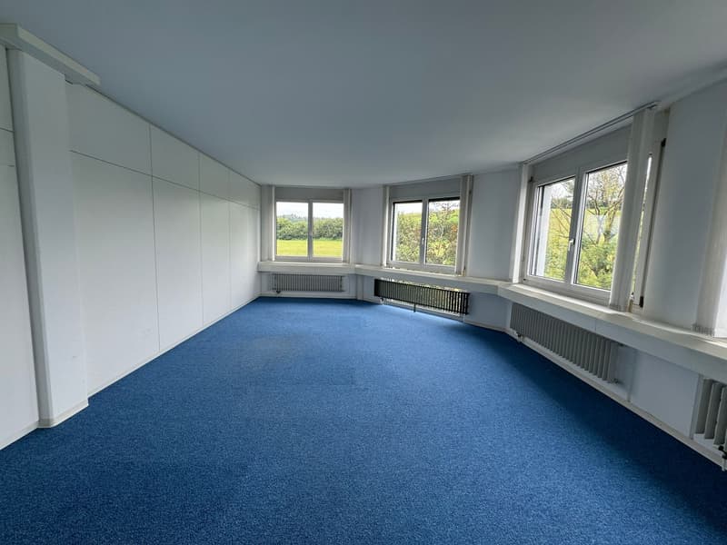 Spacious office and commercial space for rent in Sempach-Station (11)