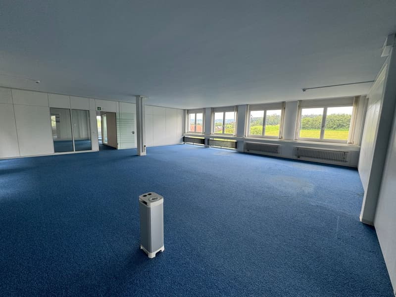 Spacious office and commercial space for rent in Sempach-Station (10)