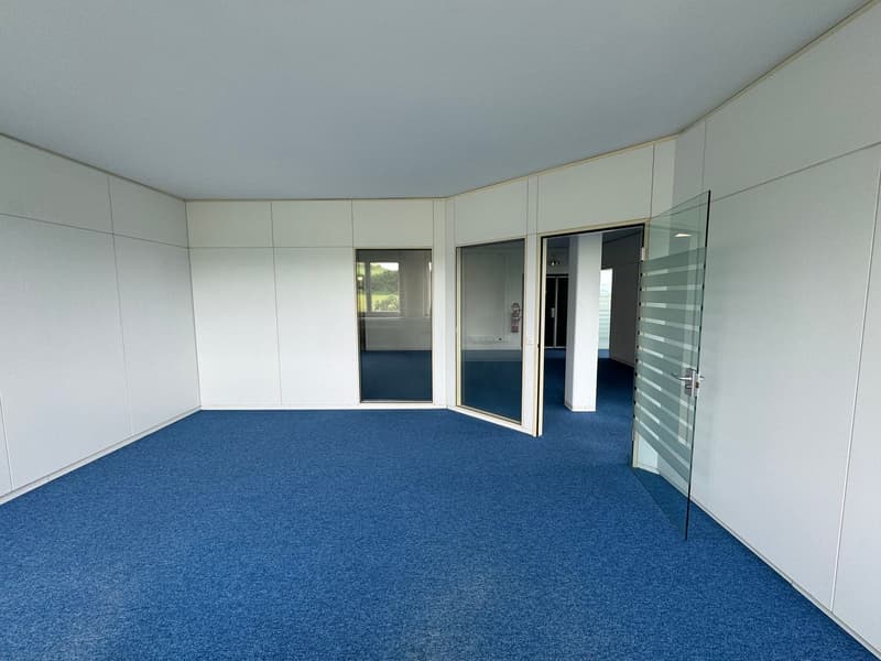 Spacious office and commercial space for rent in Sempach-Station (13)