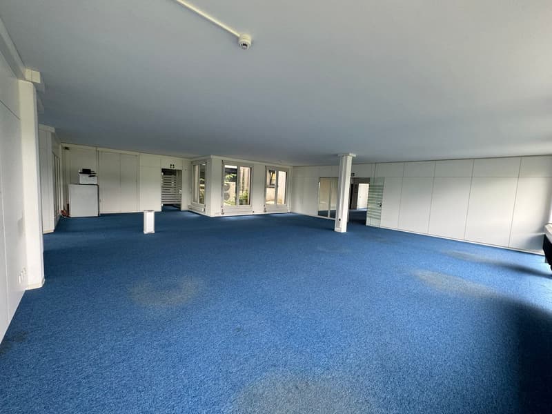 Spacious office and commercial space for rent in Sempach-Station (8)