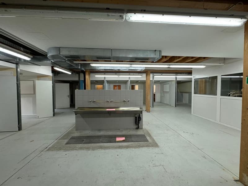 Espace commercial polyvalent à louer à Lausen (4)