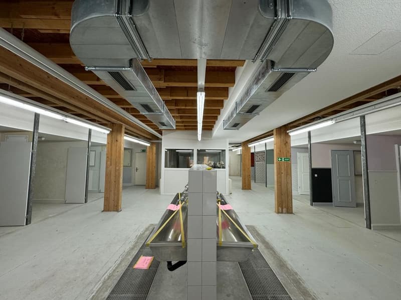 Espace commercial polyvalent à louer à Lausen (3)