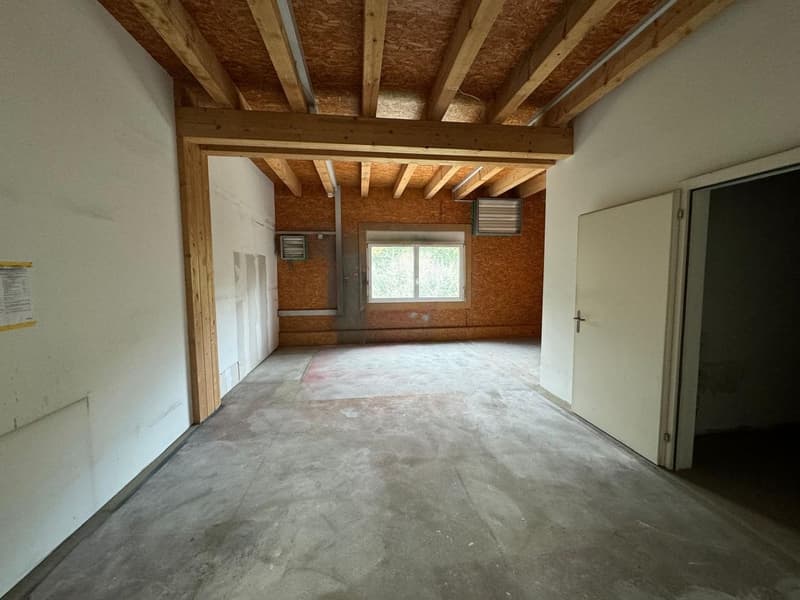 Espace commercial polyvalent à louer à Lausen (6)