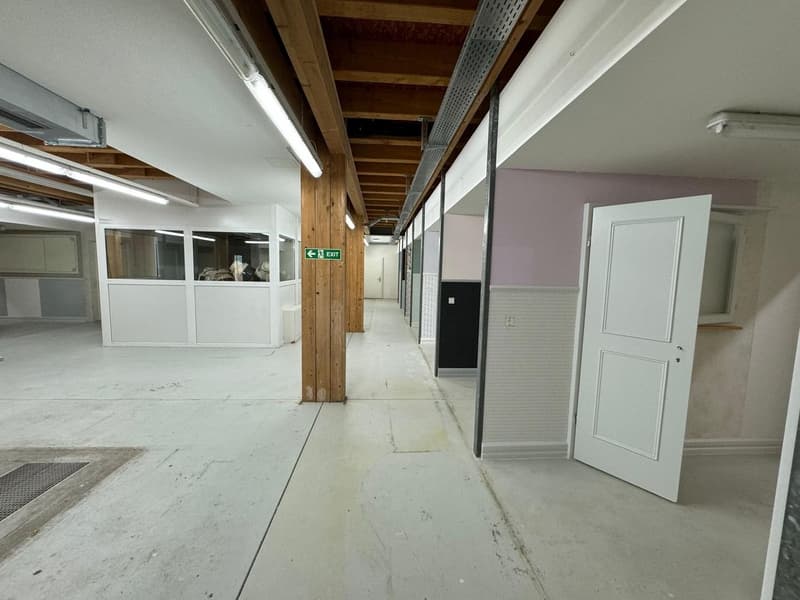 Espace commercial polyvalent à louer à Lausen (2)