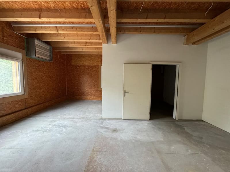 Espace commercial polyvalent à louer à Lausen (5)