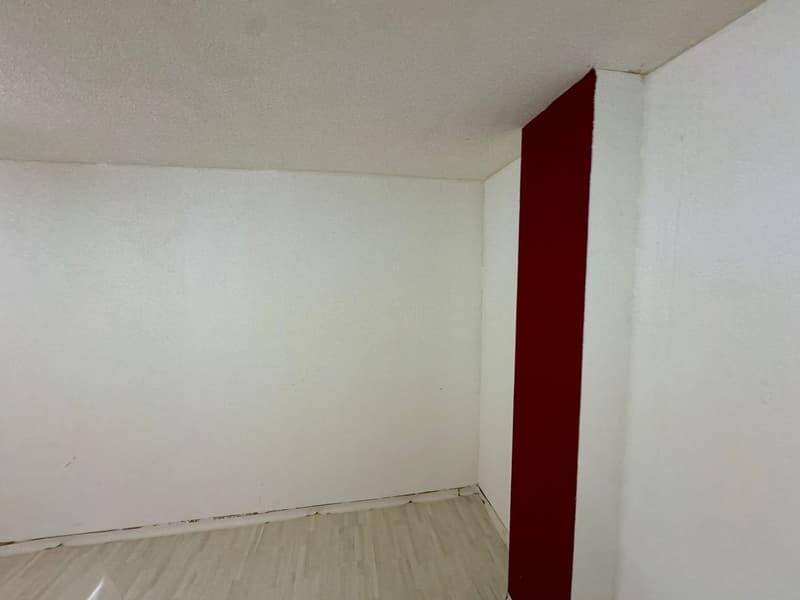 Espace commercial spacieux à louer à Lausen (4)
