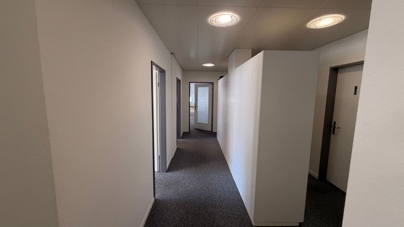 Ampio ufficio e spazio commerciale nel cuore di Liestal (12)