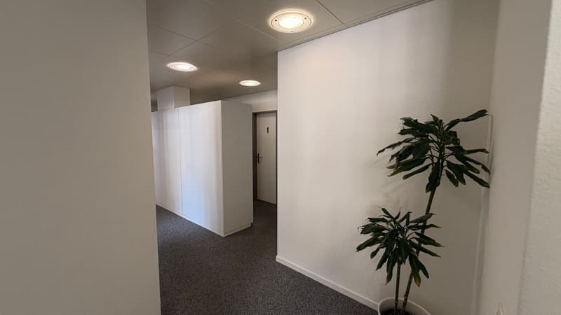Ampio ufficio e spazio commerciale nel cuore di Liestal (11)