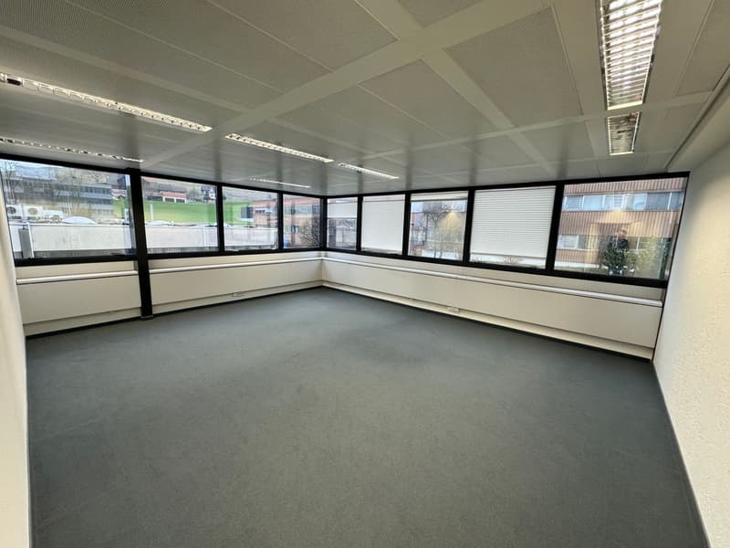 Attractive office location in a tax haven (8)