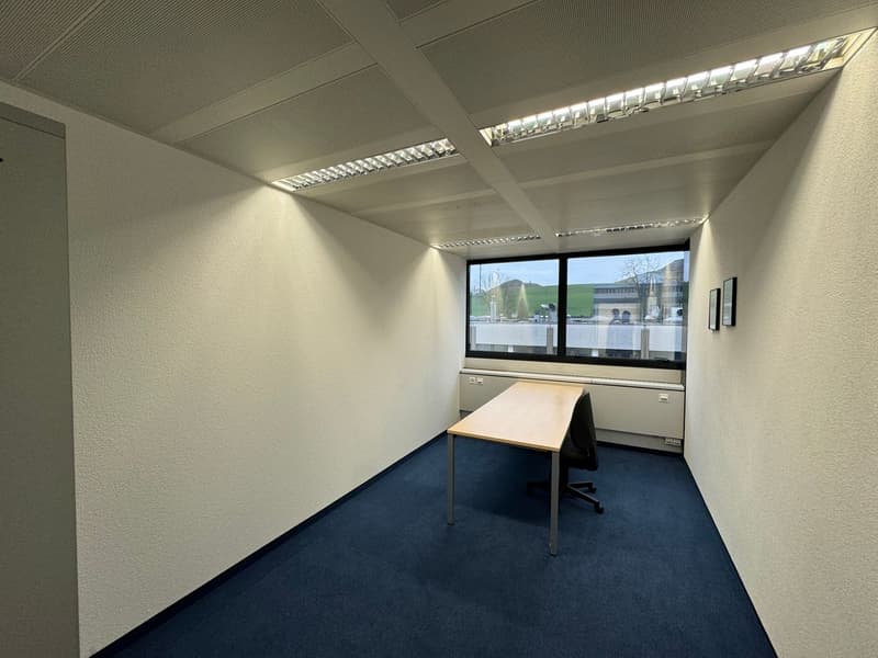 Attractive office location in a tax haven (7)