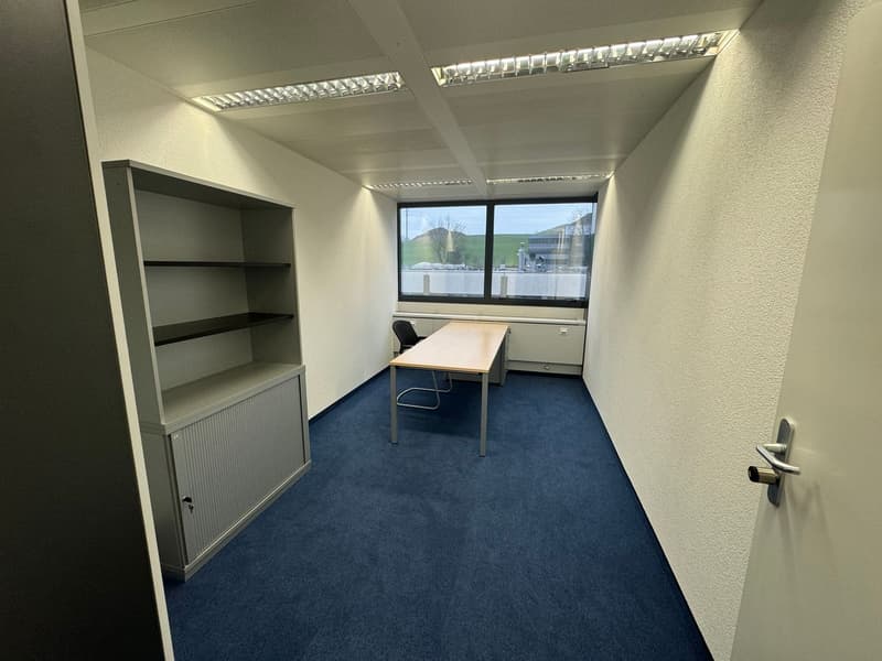 Attractive office location in a tax haven (10)