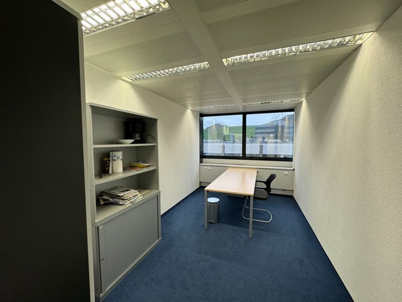 Attractive office location in a tax haven (9)