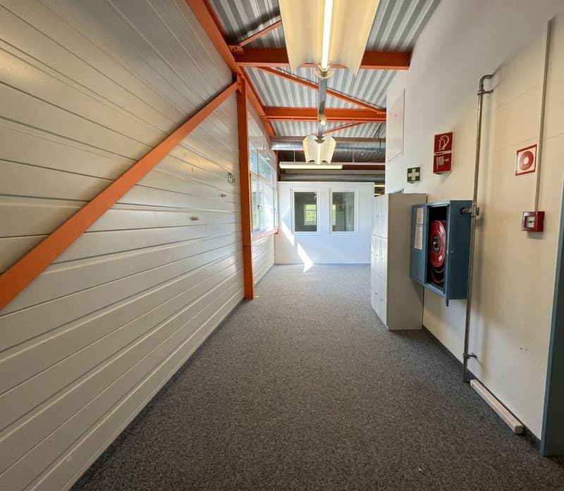 Condizioni Attractive - Spazio Commerciale a Berg TG in Affitto (7)