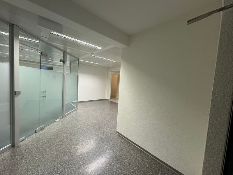 Office for 1-2 people in Baar for rent (6)
