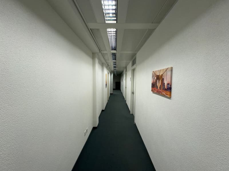 Office for 1-2 people for rent in Baar (8)