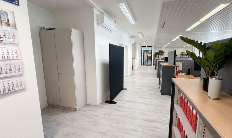 Practical premises with diverse usage possibilities (6)