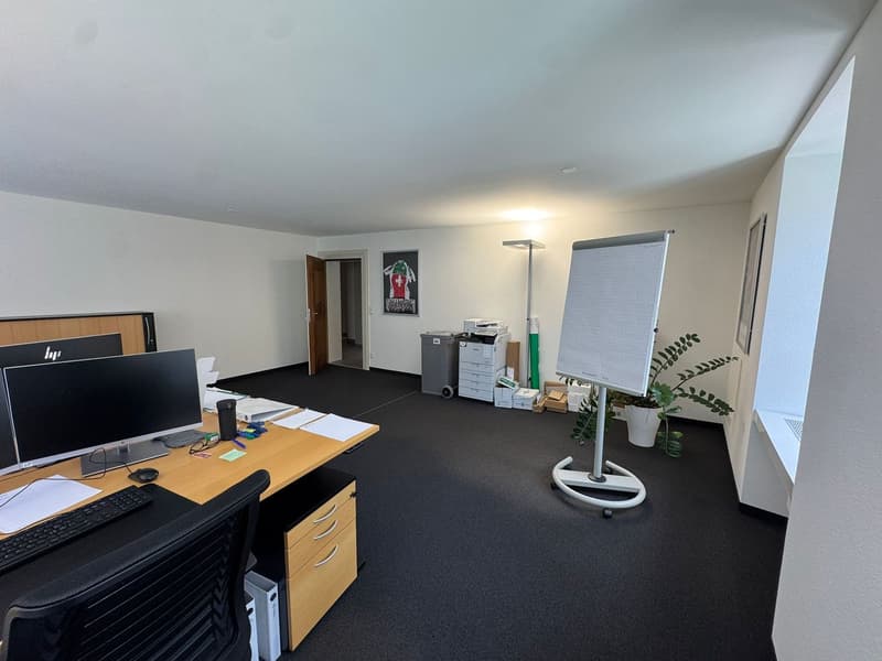 Office space for rent in the heart of Altdorf (13)